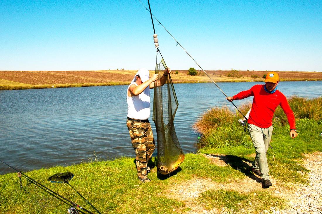 cenusaru 15 septembrie - 17 septemb 2017 - 3k.jpg